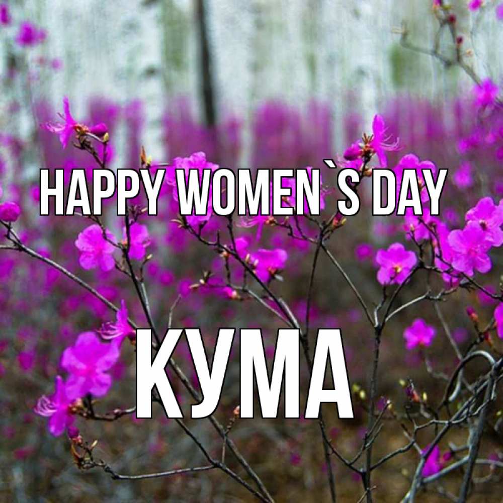 Greetings card с именем, Кума happy women`s day дикие цветы Greetings with text for free download 